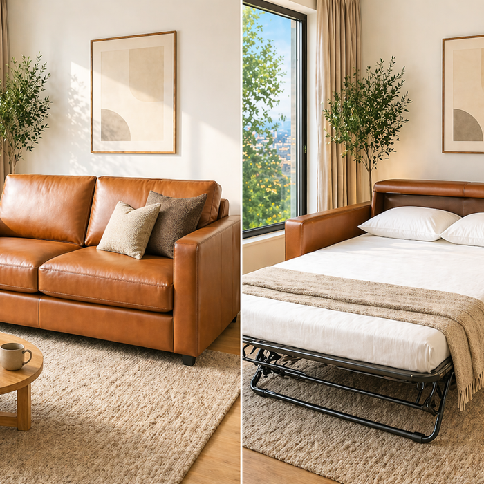 sofa vs sleeper sofa in living room showing couch to pull-out bed conversion for seating vs guest sleeping space