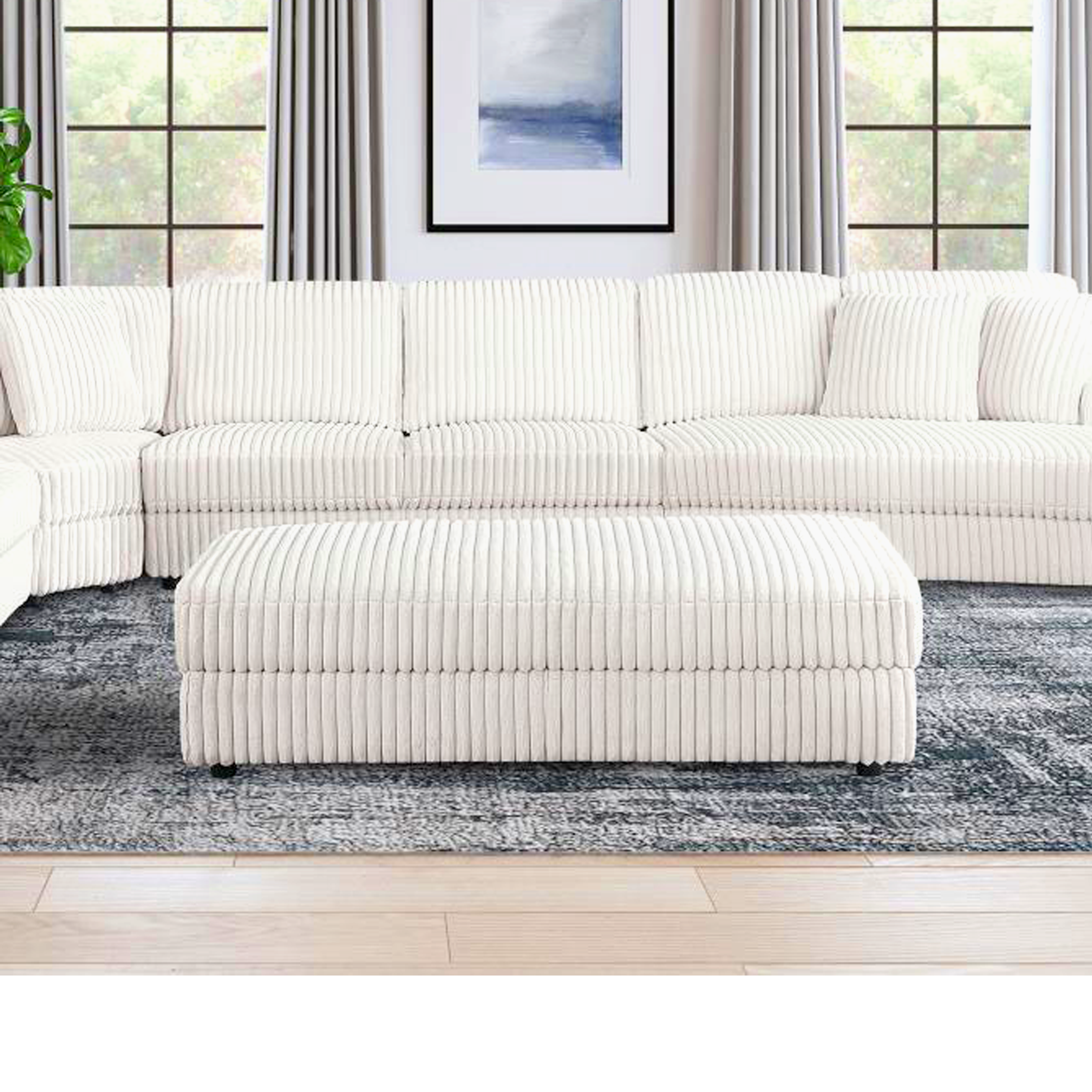 Living Room Chair & Ottoman