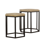 Adger 2-Piece Hexagonal Nesting Tables with Mango