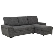 Demko Sleeper Sectional Sofa with Speaker & Storage Chaise