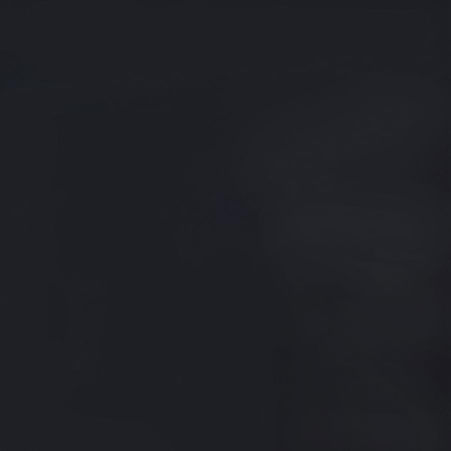 Haidera 4-Panel Folding Room Divider with Black