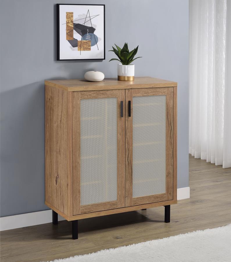 Teller 2-Door Shoe Storage Cabinet
