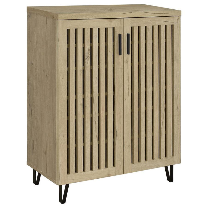 Brixton 2-Door Entryway Shoe Storage Cabinet