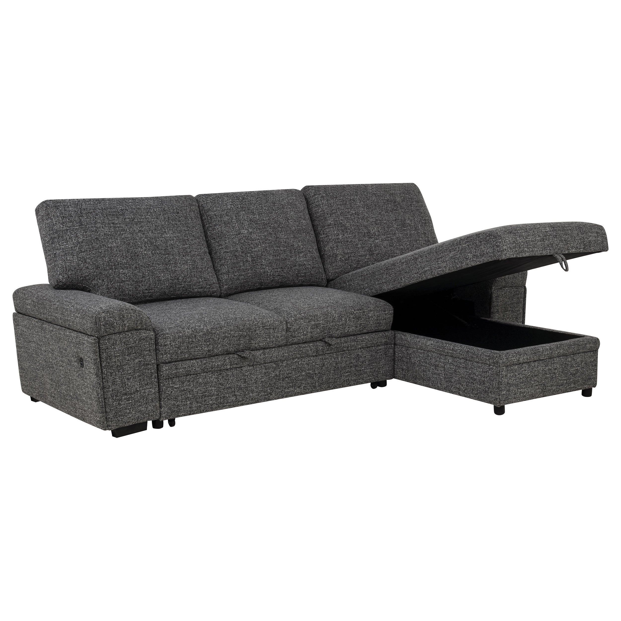 Demko Sleeper Sectional Sofa with Speaker & Storage Chaise