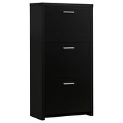 Maximize storage and style with this sleek black shoe cabinet