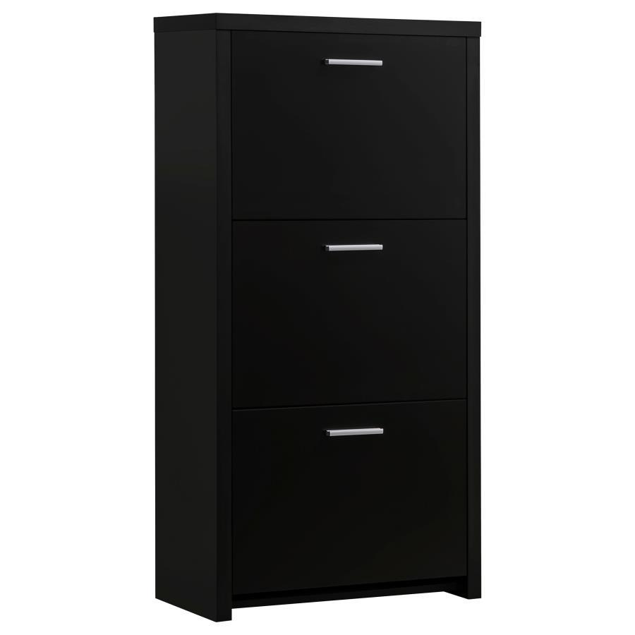 Maximize storage and style with this sleek black shoe cabinet