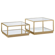 Renee 2 Piece Square Coffee Table Set