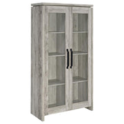 Alejo 2-Door Engineered Wood Tall Cabinet