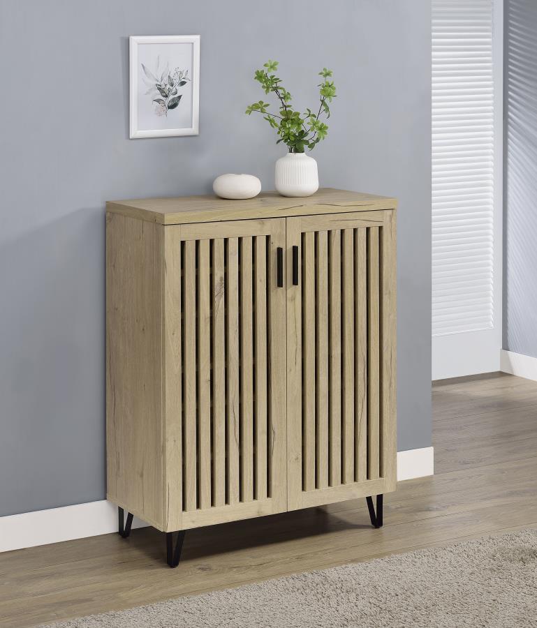 Brixton 2-Door Entryway Shoe Storage Cabinet
