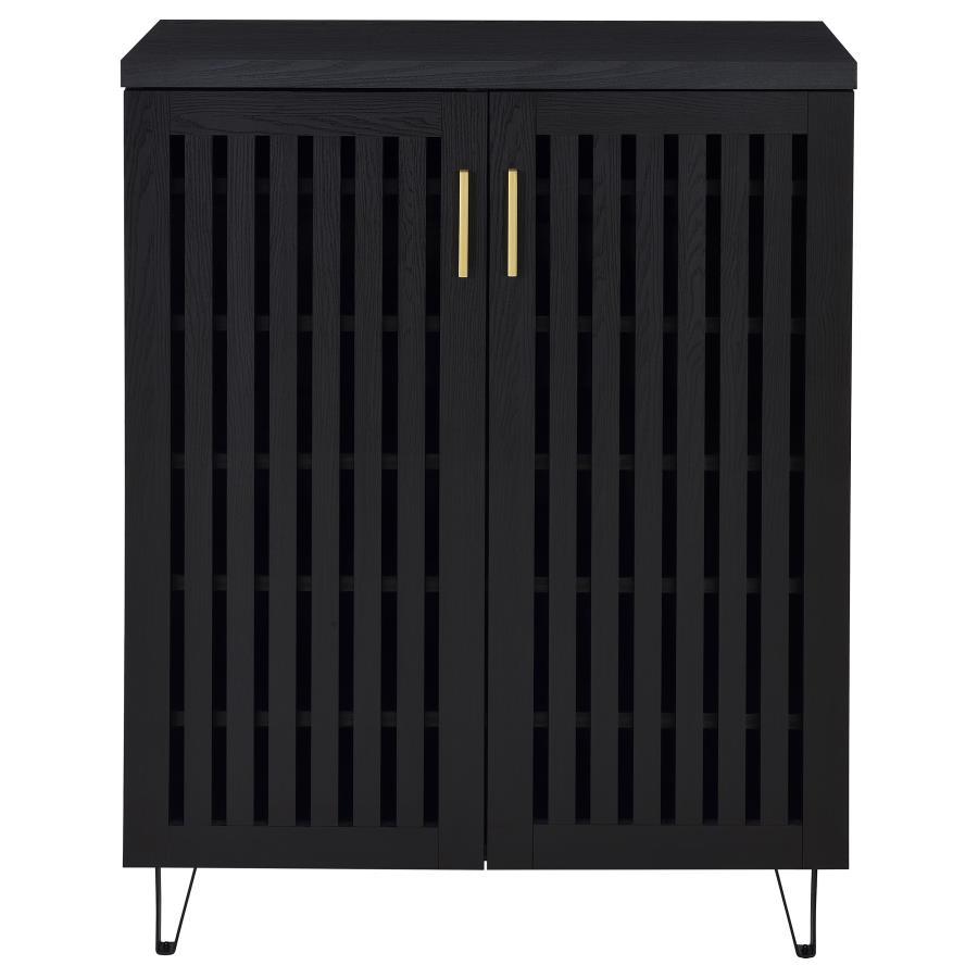 Brixton 2-Door Entryway Shoe Storage Cabinet