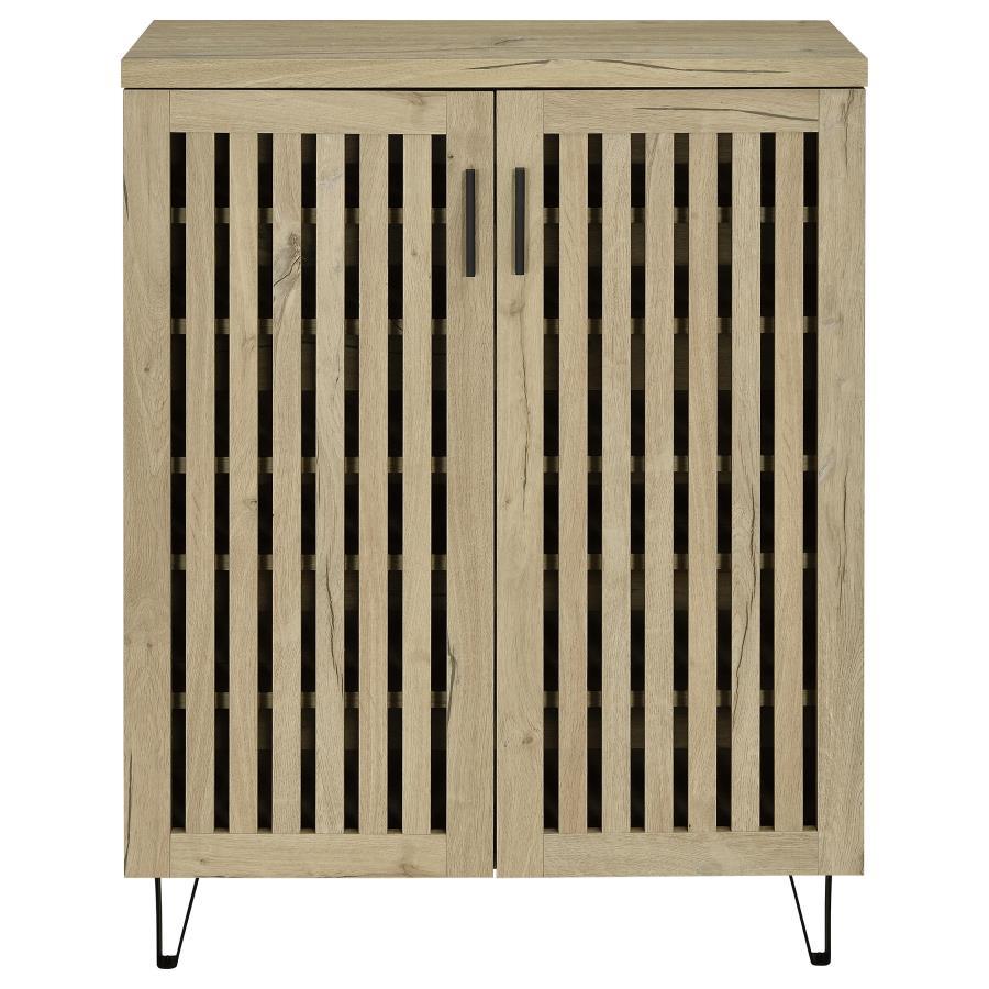 Brixton 2-Door Entryway Shoe Storage Cabinet