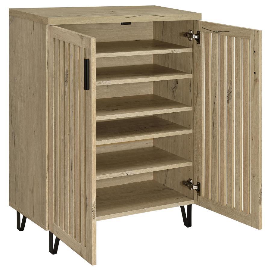 Brixton 2-Door Entryway Shoe Storage Cabinet
