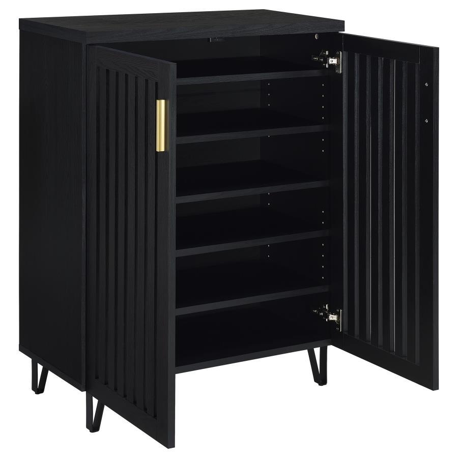 Brixton 2-Door Entryway Shoe Storage Cabinet