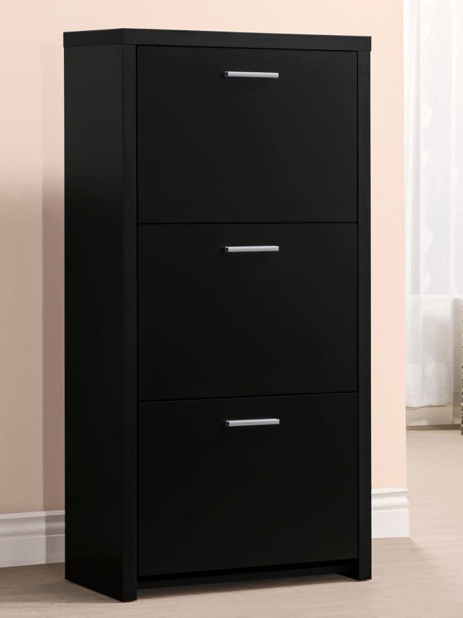 Maximize storage and style with this sleek black shoe cabinet