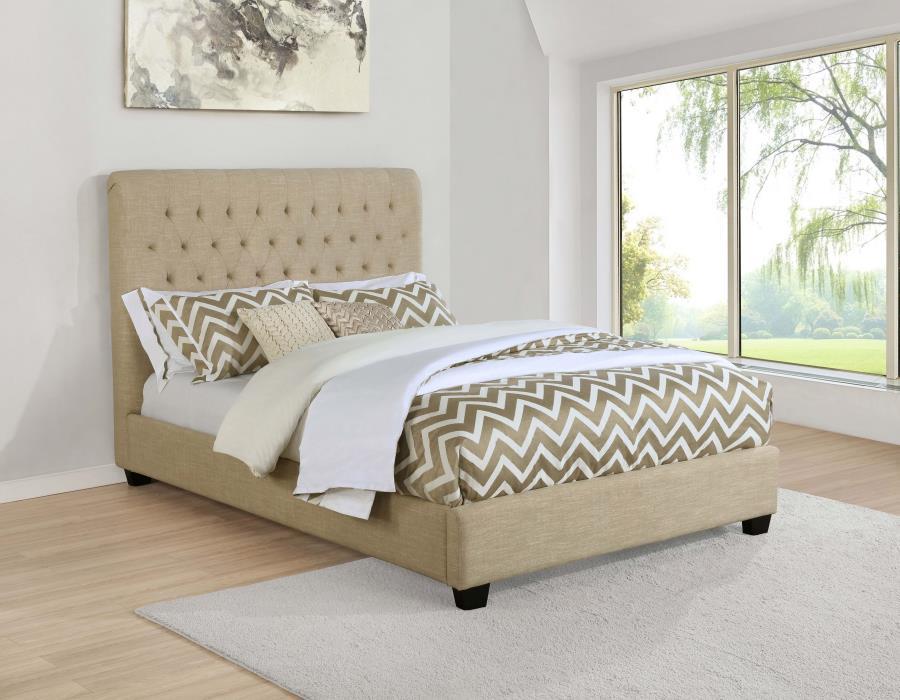 Chloe Upholstered Panel Bed
