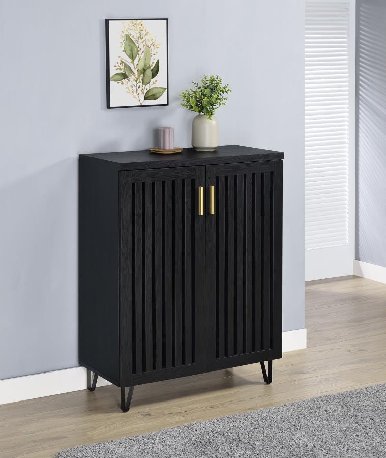 Brixton 2-Door Entryway Shoe Storage Cabinet