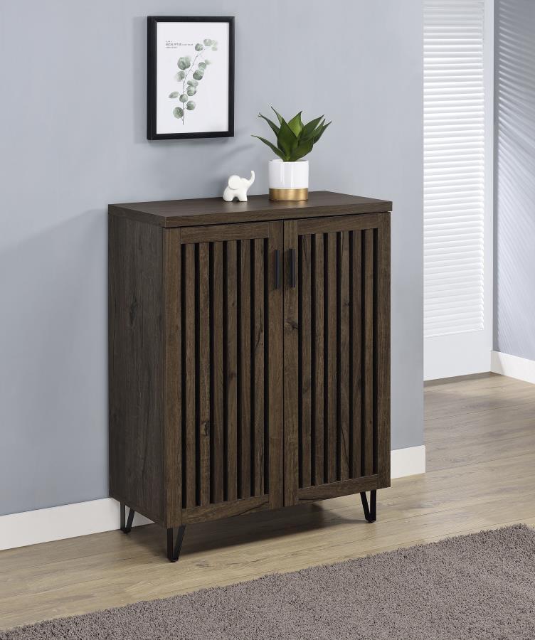 Brixton 2-Door Entryway Shoe Storage Cabinet